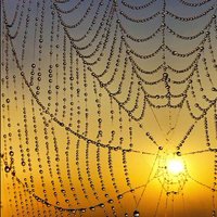 ✍️Saveur des mots✍️ (@saveurdesmots) 's Twitter Profile Photo