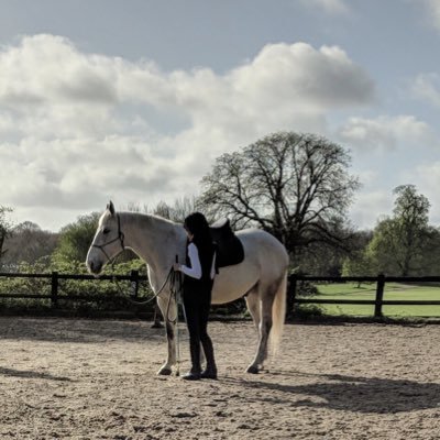 julysrdh's profile picture. Dog lover. STEM Ambassador. Horses are my passion.