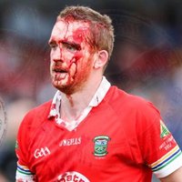 James Maguire (@jamesmag45) 's Twitter Profile Photo James Maguire (@jamesmag45) 's Twitter Profile Photo