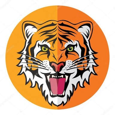 tigerspikes Profile Picture