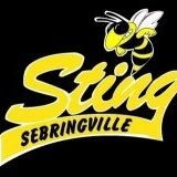 The Official Twitter Page of the Sebringville Sting Fastpitch team. 2014 #HCFL Champions. 2016 ISC Best Dressed Team, League leader in Game 2 wins! 💛RF🐝