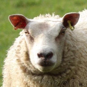 jamsportdort's profile picture. hello hello