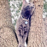 Tekles10 (@tekles10) 's Twitter Profile
