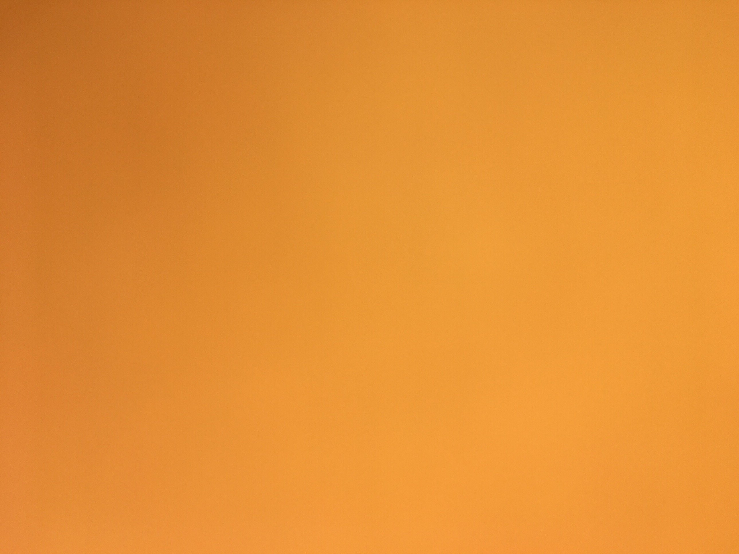 Tristan01017's profile picture. 