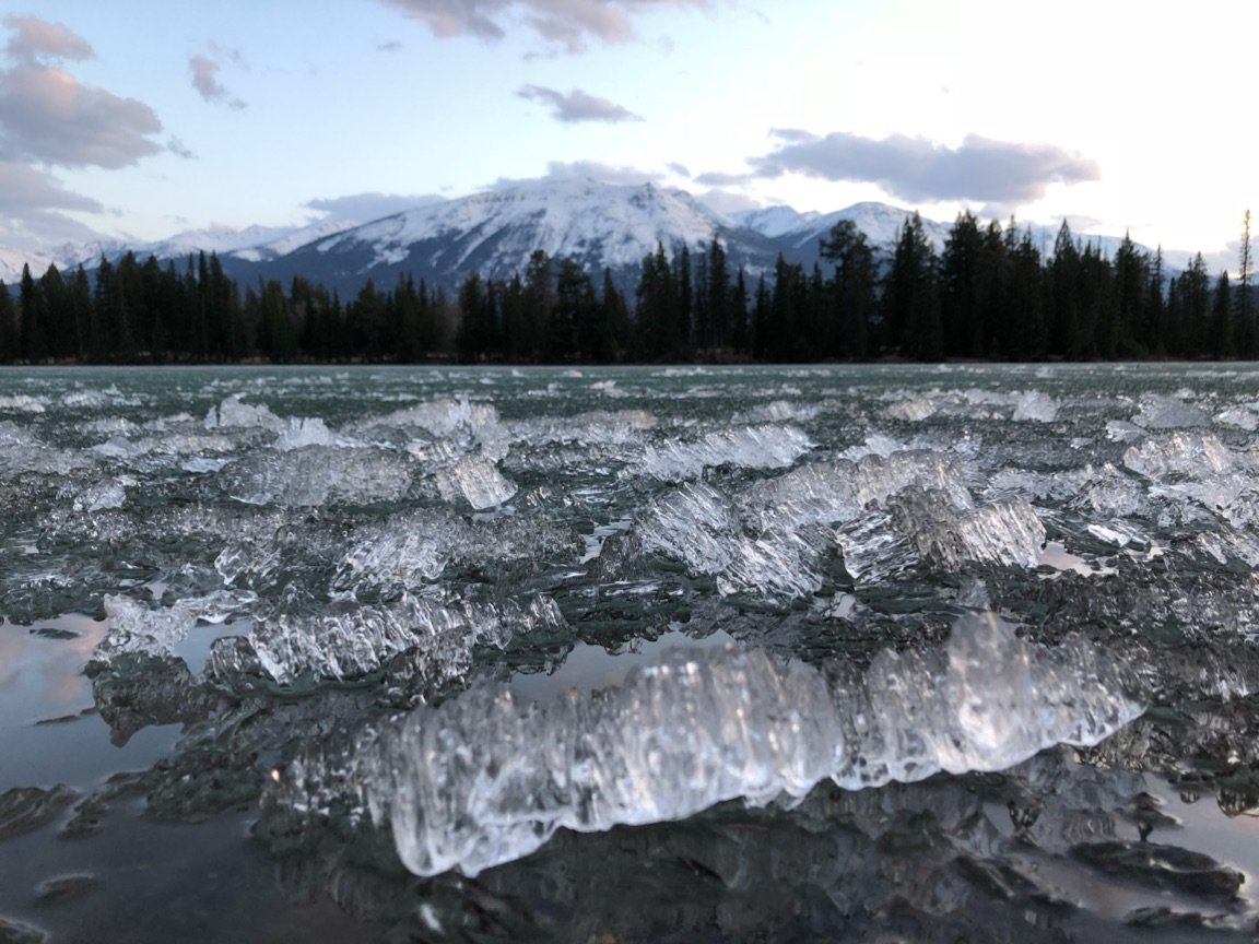 stravis's profile picture. #nostr:
npub1676qmf05zfxk69sf85llhxa7z8633y0nw79ckcq58mdyeyz42rdq3dl4pm
#mastodon:
steve@noagendasocial.com