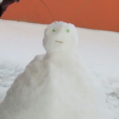 gnarlwahl's profile picture. A sad potato