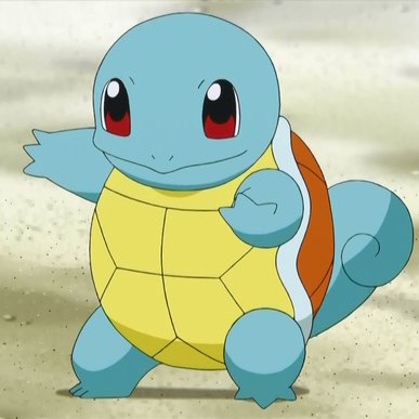 SquirtleVision
