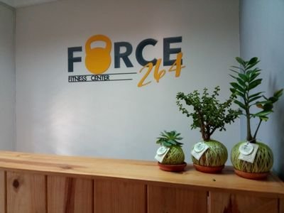 force264fitnes1's profile picture. centro fitness especializado en hot yoga detox, aerial yoga, pilates mat y reformer, crossfit, hiit, baile, trx, functional training, kettlebells