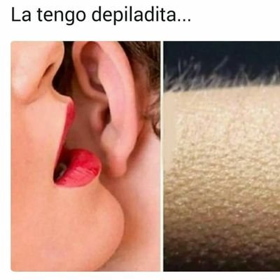 scarPonce1's profile picture. 