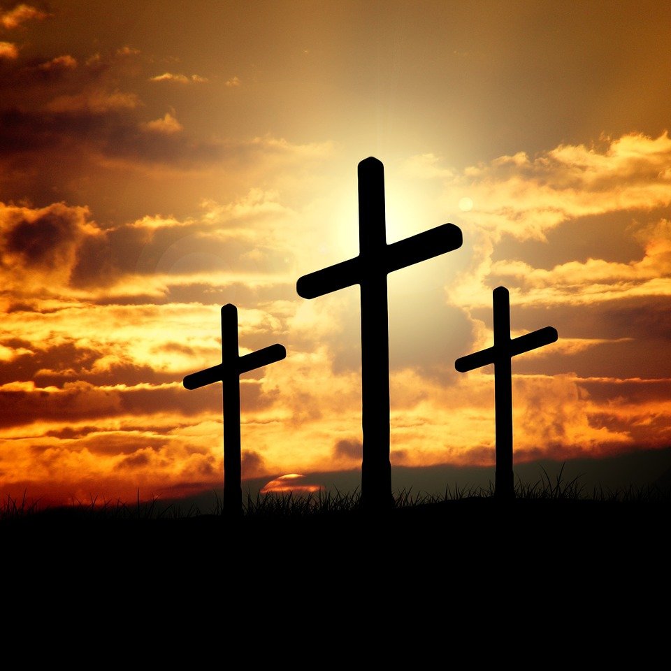 A follower of Jesus Christ, husband, father, grandfather, alpaca rancher and Evangelist
PRESS ON!