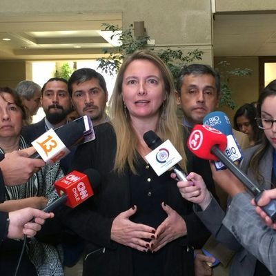 Diputada reelecta por Las Condes, La Reina, Vitacura, Peñalolén y Lo Barnechea.