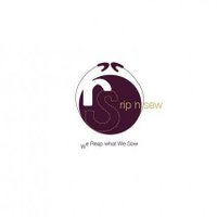 Rip 'n Sew (@1_4ripnsew) 's Twitter Profile