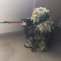 将軍さま (@greatgeneral87) 's Twitter Profile