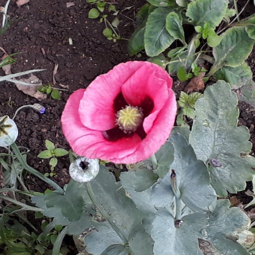 Gardening in the community. Strategic sites given love and attention to brighten up the town.
ALL VOLUNTEERS WELCOME!
Email: guergreading@gmail.com