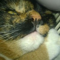 Benita Regardso aka catniss (@benita_regardso) 's Twitter Profile Photo Benita Regardso aka catniss (@benita_regardso) 's Twitter Profile Photo