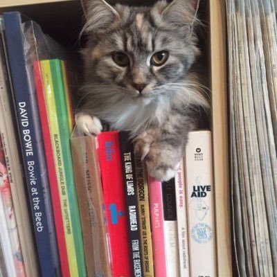 mardleschlumpf's profile picture. 