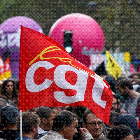 cgtansamble's profile picture. https://t.co/b2qn908gqH