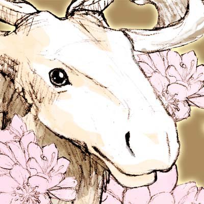 hikoさんのプロフィール画像