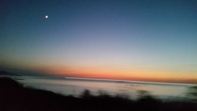 0515Osls's profile picture. 