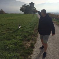 dyldyl1257 (@walserdylan) 's Twitter Profile