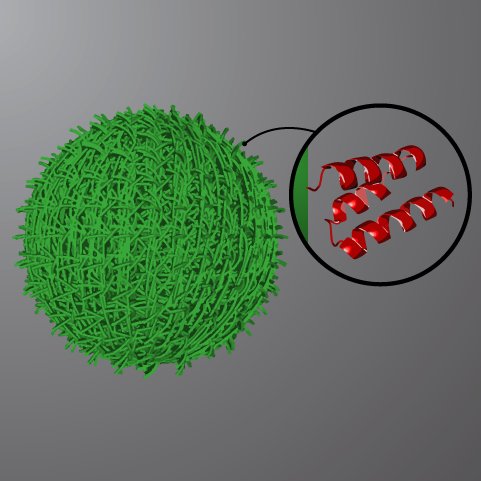 @MSCActions-funded research programme in bio-nano science @imperialcollege and @ARCCoEBionano. Led by @bearore
