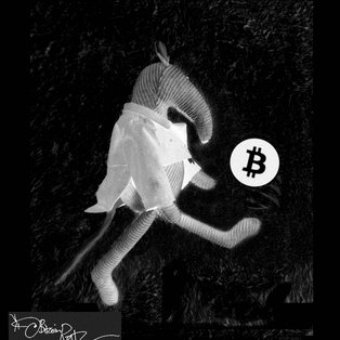 Creator of #bitworldtour
Little Ratty's hitching all around the Globe - and having fun
A small part of Bitcoins History
Be part of the next