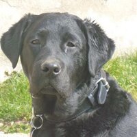 Simon Arnold (@bentleystweet) 's Twitter Profile Photo