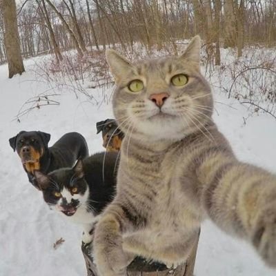 alexchrist487's profile picture. 