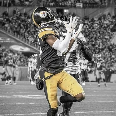 SteelersPML's profile picture. 