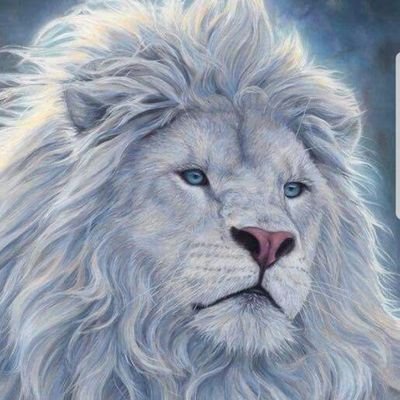 Follow me and I'll follow you! (as long as your genuine!)
Let us help each other make this world a better place.