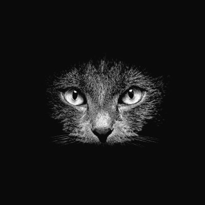 Marydrina's profile picture. #blackandwhitephotography of animals