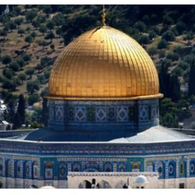 WorldCitizen4P's profile picture. Il est important de comprendre l'importance de Jérusalem dans le Monde d'aujourd'hui et pour notre "Futur". il faut alors la défendre.