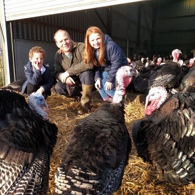 Arable farmer growing combinable crops, Christmas turkeys on the urban fringe. MD of Real IPM UK. Interested in joint ventures, direct drilling, drones + robots