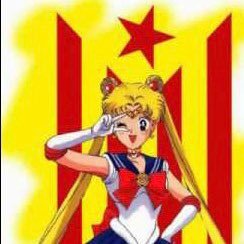 KRLRC's profile picture. M’han adoctrinat, ho tinc clar.