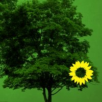 GRÜNE Elbvororte (@gruene_e) 's Twitter Profile Photo