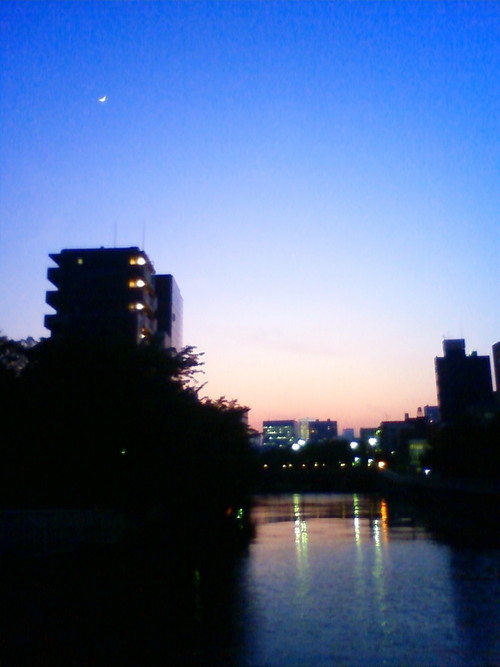 Vivi_6_trees's profile picture. 