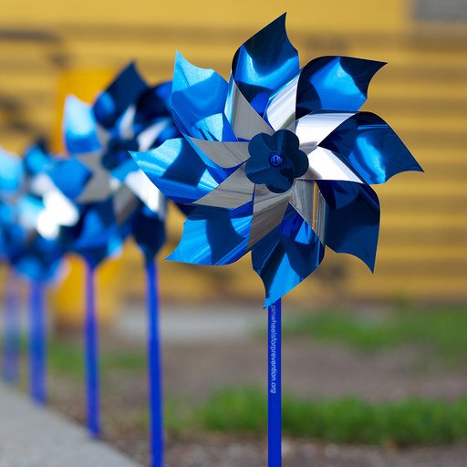 PagePcaa's profile picture. 