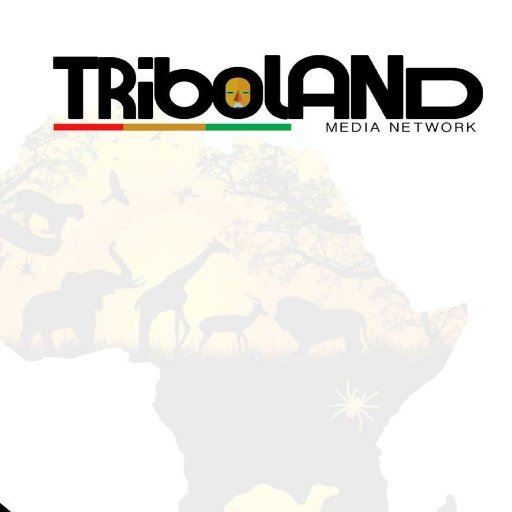 triboland's profile picture. TRiboLAND___ magazine/journal en ligne pour toutes les descentes africaines à travers le monde.