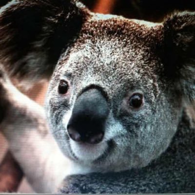 Peter20192020's profile picture. Email:
