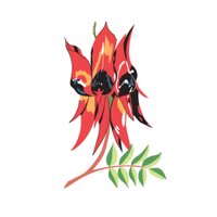 The Federation Press (@thefedpress) 's Twitter Profile Photo The Federation Press (@thefedpress) 's Twitter Profile Photo