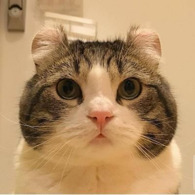 Bushra30416803's profile picture. 