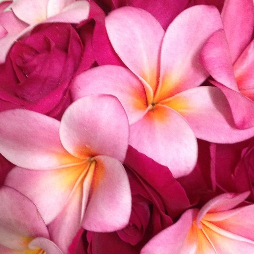 Nao_Ma_Tsu's profile picture. 