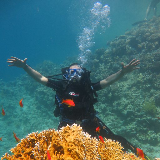 symedia_shj's profile picture. 