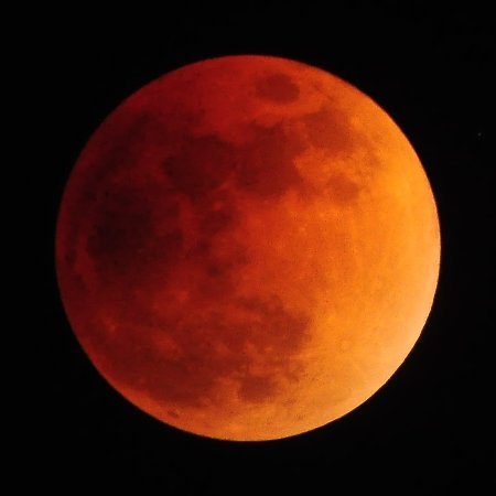 koo6's profile picture. テトリスTGMプレイヤーの星田星男ことKOOと申します / TGM 8:55, TAP MASTER 橙Gm 7:09, 緑Gm 7:07, TGMエクストリームリバース 9:17 / あつまれどうぶつの森 /スプラトゥーン3/ティアキン/KNOCK OUT MONKEY