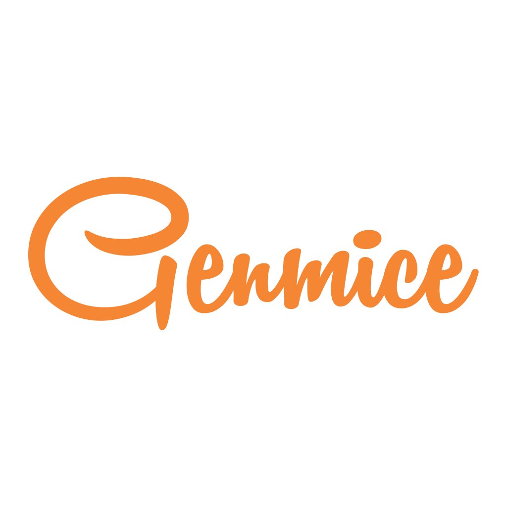 Genmice Media: Digital Marketing Agency/Company Mumbai | Complete Digital Marketing Solution