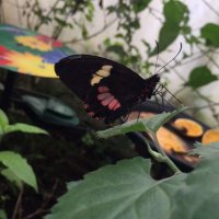 عمر السليمان (@omaralsuliman_) 's Twitter Profile Photo