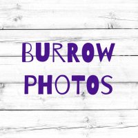 Burrow Photos(@Burrow_Photos) 's Twitter Profile Photo