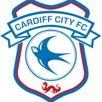 Dosbarth Cardiff City(@FPSCardiffCity) 's Twitter Profile Photo