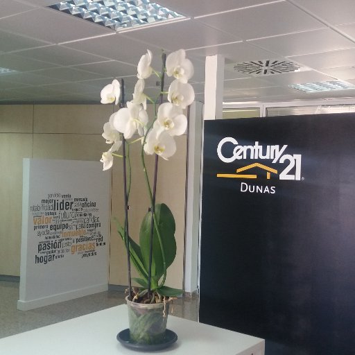 Un placer poder compartir con todos ustedes mi pasión profesional, antes asesor Inmobiliario  y ahora Gerente de Century21 Dunas.