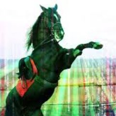 CypherPony's profile picture. Interesting Ideas  ₿